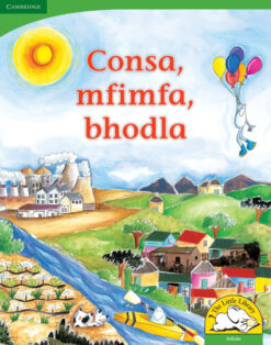 Consa, mfimfa, bhodla Big Book Version (IsiZulu)