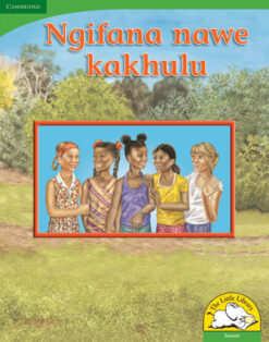 Ngifana nawe kakhulu Big Book version (Siswati)