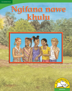 Ngifana nawe khulu Big Book Version (IsiNdebele)