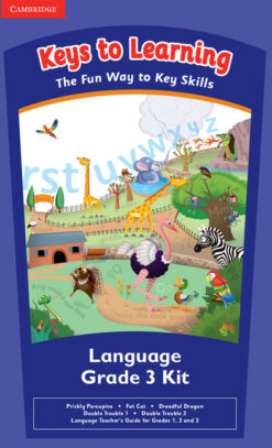 Keys to Learning Games Language Grade 3
