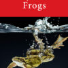 Aristophanes: Frogs