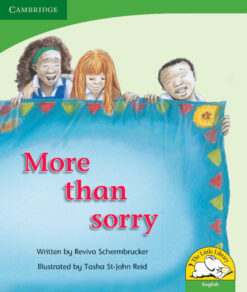 More than Sorry (English)