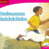 Imbuzana elahlekileko (IsiNdebele)
