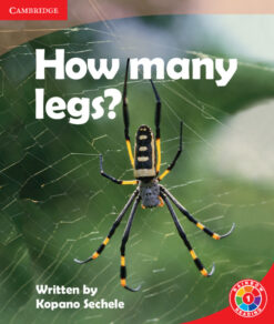 How Many Legs?