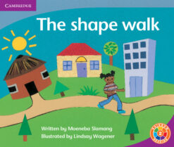 The Shape Walk