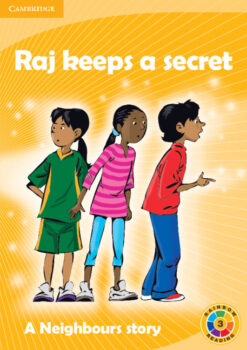 Raj Keeps a Secret Level 3