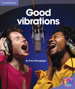 Good Vibrations Level 7