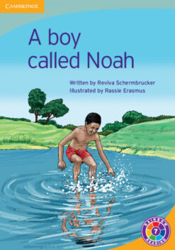 A Boy Called Noah Level 7