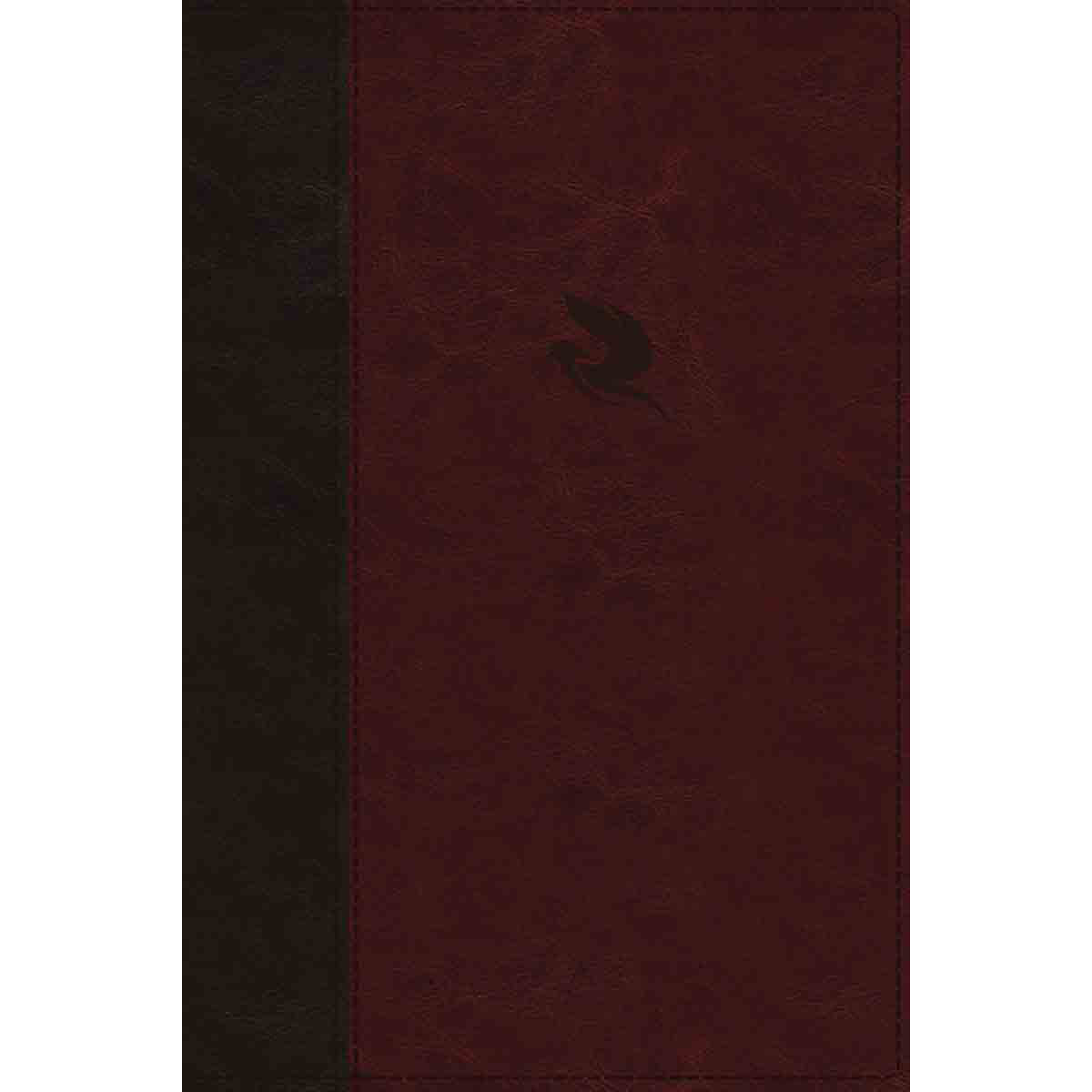 NKJV Spirit Filled Life Bible Indexed Burgundy (Imitation Leather)