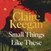 Small Things Like These : The Irish Times readers' choice for best Irish book of the century