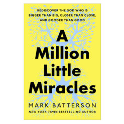 A Million Little Miracles: Rediscover the God Who Is Bigger than Big HC