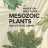 The Princeton Field Guide to Mesozoic Plants - 9780691272436