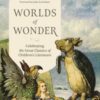 Worlds of Wonder : Celebrating the Great Classics of Children's Literature - 9780691274638