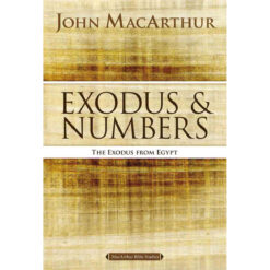 Exodus And Numbers: Exodus From Egypt (Paperback)