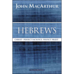 Hebrews: Christ - Perfect Sacrifice, Perfect Priest (Paperback)