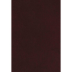 KJV Study Indexed Bible Burgundy (Bonded Leather)