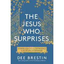 The Jesus Who Surprises (Paperback)