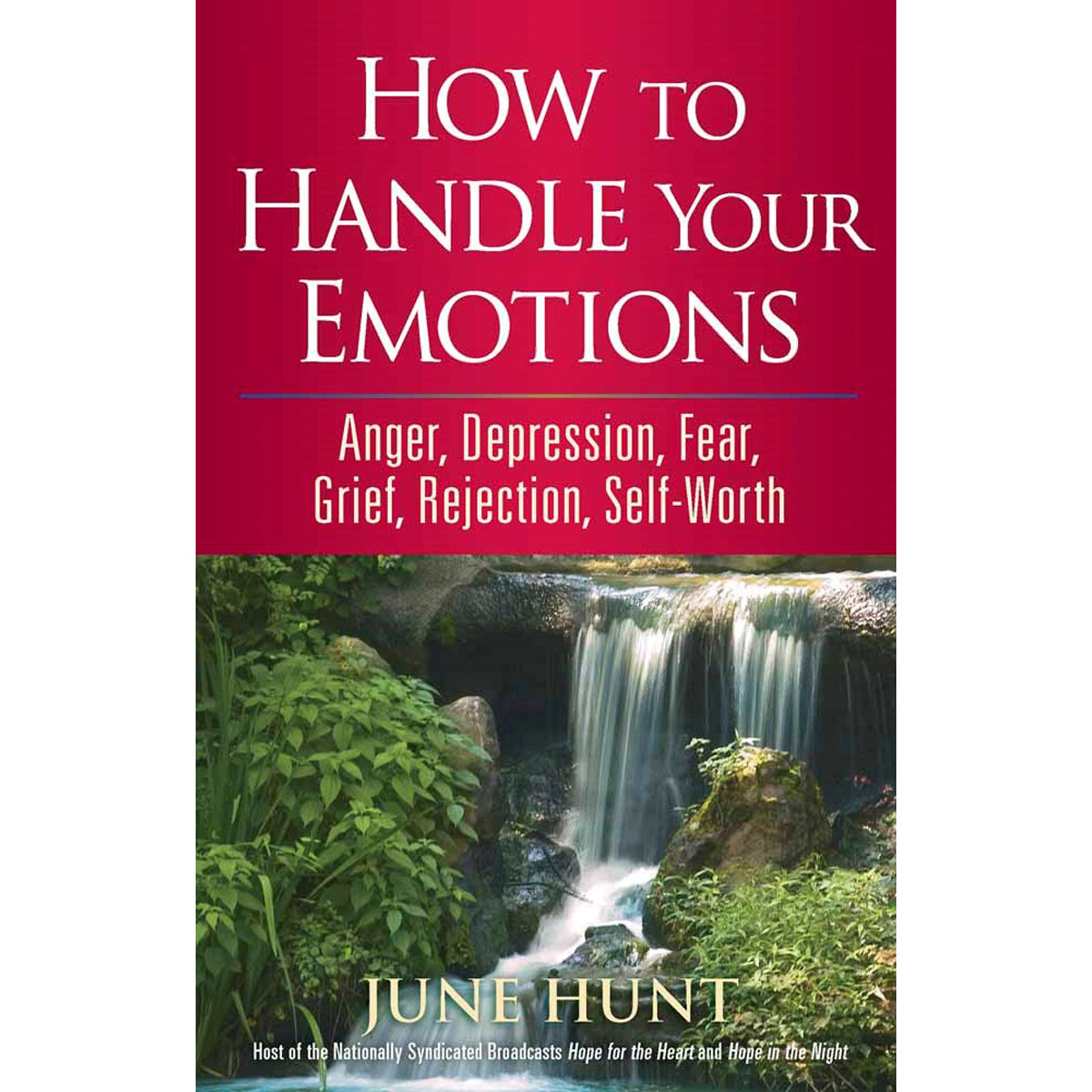 How To Handle Your Emotions: Anger, Depression, Fear, Grief, Rejection, Self-Worth (Paperback)