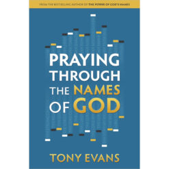 Praying Through The Names Of God (Paperback)
