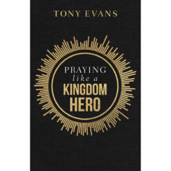Praying Like A Kingdom Hero: Inspiration And Encouragement (Paperback)