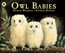 Owl Babies : Over two million copies sold - a heartwarming bedtime picture book story that comforts and reassures - also the perfect gift for toddlers and new parents