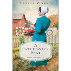 A Patchwork Past (Paperback)