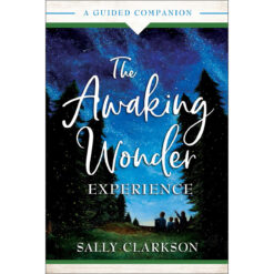 The Awaking Wonder Experience (Paperback)