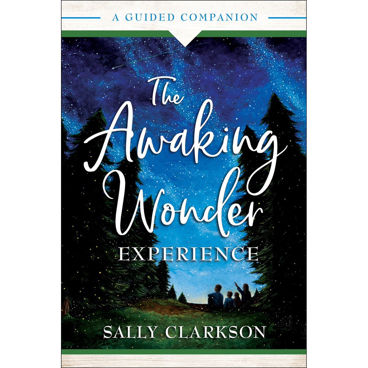 The Awaking Wonder Experience (Paperback)