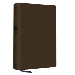 ESV Brown Imitation Leather The Bible Recap 365-Day Chronological Study Bible