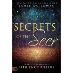 Secrets Of The Seer (Paperback)