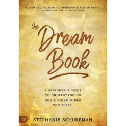 The Dream Book: A Beginner's Guide To Understanding God's Voice / Sleep (Paperback)