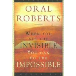 When You See The Invisible You Can Do The Impossible (Paperback)
