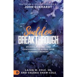 Sudden Breakthrough: Decrees Prayers And Confessions (Paperback)