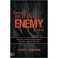 Seeing Behind Enemy Lines: Exposing And Overcoming Satan's Strategies (Paperback)