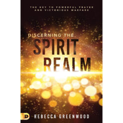Discerning The Spirit Realm: The Key To Powerful Prayer And Victorious Warfare (Paperback)