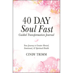 40 Day Soul Fast Guided Transformation Journal: Your Journey (Paperback)