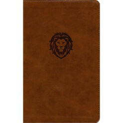 KJV Thinline Bible Youth Edition Red Letter Brown (Comfort Print)(Imitation Leather)