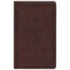 NRSV Catholic Gift Edition Brown (Comfort Print)(Imitation Leather)
