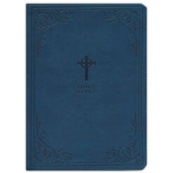 NRSV Catholic Gift Edition Teal (Comfort Print)(Imitation Leather)