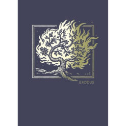 NET Abide Bible Journal Exodus (Comfort Print)(Paperback)