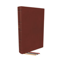KJV Single-Column Personal Size Reference Bible Index Red (Comfort Print)(Premier)(Genuine Leather)