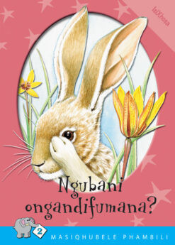 MASIQHUBELE PHAMBILI SERIES LEVEL 2 BOOK 3 NGUBANE ...