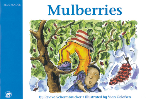 JUMBO SERIES BLUE READER BOOK 3 MULBERRIES