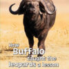BUSH ZONE READER 5 - HOW BUFFALO TAUGHT THE LEOPARDS A LESS