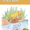 BIG BOOK (AFRIKAANS) 1: MAATS SWEM IN DIE DAM