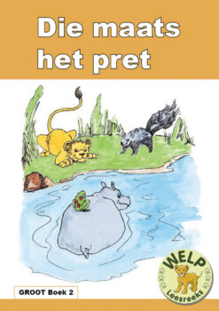 BIG BOOK (AFRIKAANS) 2: DIE MAATS HET PRET