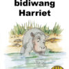 CUB READING SCHEME (SETSWANA) LEVEL 1 BK 2:KUBU E BIDIWAN