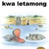 CUB READING SCHEME (SETSWANA) LEVEL 2 BK 2:BOITAPOLOSO...