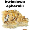 CUB READING SCHEME (XHOSA) LEVEL 4 BK 2: UKUKHWELA KWINDAW