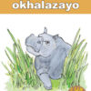 BIG BOOK (XHOSA) 3: UHARIYETHI OKHALAZA